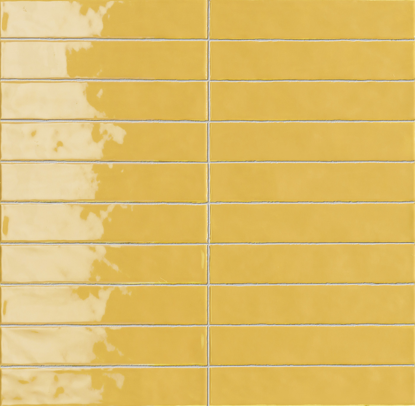 G 1262016 Sartoria vernici Mustard Mayo 5 x 25